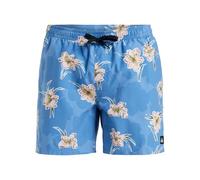 Quiksilver Everyday Straight Volley 15 Pantalones Cortos, Backyards Coronet Blue-Blq7, L para Hombre
