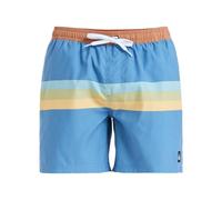 Quiksilver Everyday Straight Volley 15 Pantalones Cortos, Coronet Blue Retro Stripe, L para Hombre