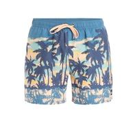Quiksilver Everyday Straight Volley 15 Pantalones Cortos, Coronet Blue Tropicamo, M para Hombre