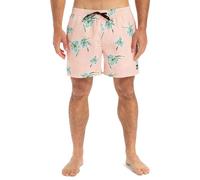 Quiksilver Everyday Straight Volley 15 Pantalones Cortos, Melocotón Backyards, Medium para Hombre