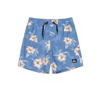 Quiksilver Everyday Straight Volley Yth14 Pantalones Cortos, Backyards Coronet Blue-Blq7, 12 años para Niños