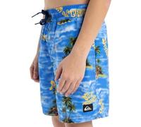 Quiksilver Everyday Straight Volley Yth14 Pantalones Cortos, Coronet Blue Naturama, 8 años para Niños