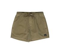 Quiksilver Everyday Surfwash Volley 15 Pantalones Cortos, Aloe, M para Hombre
