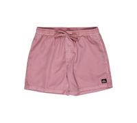 Quiksilver Everyday Surfwash Volley 15 Pantalones Cortos, Lila, L para Hombre