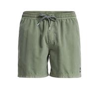 Quiksilver Everyday Surfwash Volley 15 Pantalones Cortos, Verde (Grape Leaf), S para Hombre