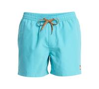 Quiksilver Everyday Volley 15 Pantalones Cortos, Agua, S para Hombre