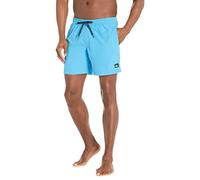Quiksilver Everyday Volley 17-Traje de baño de Voleibol con Cintura elástica Pantalones Cortos, Blithe, M para Hombre