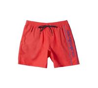 Quiksilver Everyday Volley - Short de Natación para Chicos 8-16