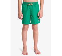Quiksilver Jóvenes Everyday Volley YTH 14 Boardshorts, Duende, años