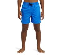 Quiksilver Everyday Volley YTH 14 Pantalones Cortos, Nebulas Azul, 8 años para Niños