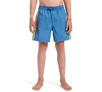 Quiksilver Everyday Volley Yth14 Pantalones Cortos, Coronet Blue Holmes, 12 años para Niños