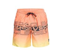 Quiksilver Everyday Wordblock 17" - Short de Natación para Hombre