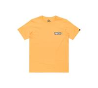 Quiksilver, EVO Aqua Wild Camiseta de Manga Corta, Niño, 10 años, Chamois