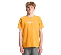 Quiksilver Fineline SS Camiseta, Amarilla Mineral, 14 años para Niños