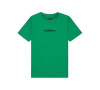 Quiksilver Fineline SS Camiseta, Leprechaun, 12 años para Niños