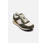 Quiksilver FONTANA 47 Verde
