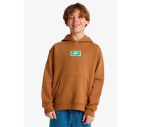 Quiksilver Graphic Hero Hoodie Youth 14A Marrón