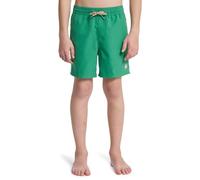 Quiksilver Jóvenes Everyday Volley YTH 14 - Pantalones Cortos para Hombre (8 años)