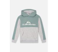 Quiksilver Knowledge Area Hood Youth EQBFT03928 8A Gris