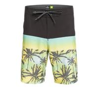 Quiksilver Men's Standard Surfsilk Panel 20 Boardshort Swim Trunk Bathing Suit, Tarmac, 30