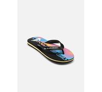 Quiksilver MOLOKAI ART 25 YOUTH 36 Multicolor