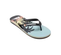 Quiksilver Molokai Core - Chanclas para Hombre