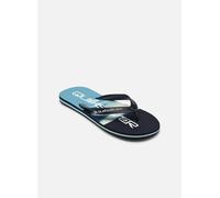 Quiksilver MOLOKAI STRIPE 25 42 Azul