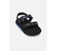 Quiksilver MONKEY CAGED TODDLER 20 Negro