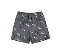 Quiksilver Next Gen Volley YTH 14 Pantalones Cortos, Raíces Negras, 16 años para Niños