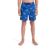 Quiksilver Next Gen Volley YTH Pantalones Cortos, Estate Blue Roots, 14 años para Niños
