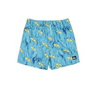 Quiksilver Next Gen Volley YTH Pantalones Cortos, Raíces Azules Marinas, 14 años para Niños