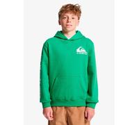Quiksilver Omni Logo Hoodie Youth 10A Verde