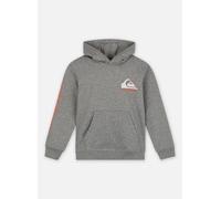 Quiksilver Omni Logo Hoodie Youth EQBFT03924 8A Gris