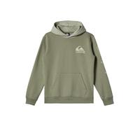 Quiksilver Omni Logo Hoodie Youth Suéter pulóver, Sea Spray, Estándar para Niños