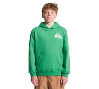 Quiksilver Omni - Sudadera de Forro Polar con Capucha para niño, 8 a 16 años, Color Verde