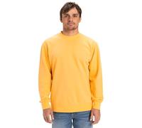 Quiksilver Salt Water Crew Sudadera, Chamois, XL para Hombre