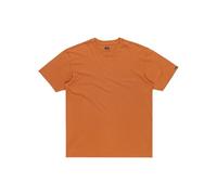 Quiksilver Salt Water tee Camiseta, BRAN, L Men's