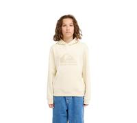 Quiksilver Sudadera con Capucha con Logotipo de Comp para jóvenes, Color Blanco