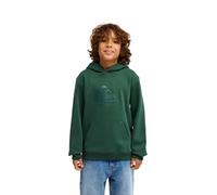 Quiksilver Sudadera con Capucha con Logotipo de Comp para jóvenes, Color Verde
