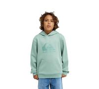 Quiksilver Sudadera con Capucha con Logotipo de Comp para jóvenes, Color Verde