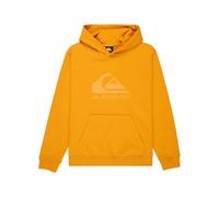 Quiksilver - Sudadera de Forro Polar con Capucha (8 a 16 años), Color Amarillo