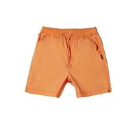 Quiksilver Taxer - Short de Calle para Chicos 8-16