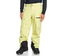 Quiksilver Utility PT Pantalones, Celery Green, Estándar para Hombre
