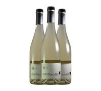 Quinta da Pellada Quinta de Saes Branco Dão 75 cl Vino blanco (Caja de 3 Botellas de 75 cl)