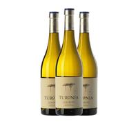Quinta de Couselo Turonia Albariño Rías Baixas 75 cl Vino blanco (Caja de 3 Botellas de 75 cl)