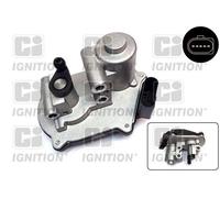 QUINTON HAZELL Accionador, tapa conmutadora (colector admisión) para VOLKSWAGEN: Eos, Golf, Jetta, Passat, New Beetle & SKODA: Yeti (Ref: XPOT617)
