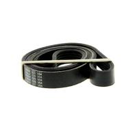 QUINTON HAZELL Correa trapezoidal nervada para FORD: Transit/Tourneo, Fiesta, Fusion & CITROËN: Berlingo, Xsara, Xsara Picasso (Ref: QBR61335)