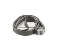 QUINTON HAZELL Correa trapezoidal nervada para NISSAN: Interstar, Primastar & RENAULT: Master, Laguna, Trafic, Vel Satis (Ref: QBR61800)