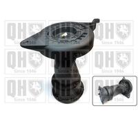 QUINTON HAZELL Muelle neumático, suspensión para PEUGEOT: Boxer & FIAT: Ducato & CITROËN: Jumper, Relay (Ref: EMR4874)
