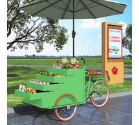 Quiosco expendedor de alimentos, carrito móvil de triciclo con soporte de exhibición de gran capacidad, remolque comercial de alimentos con paraguas para eventos y uso al aire libre